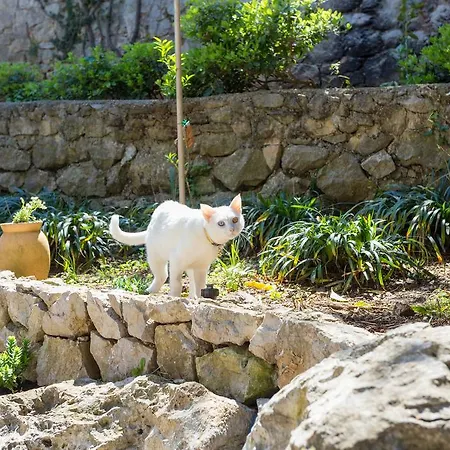 Stella & Luna Apartment Dubrovnik
